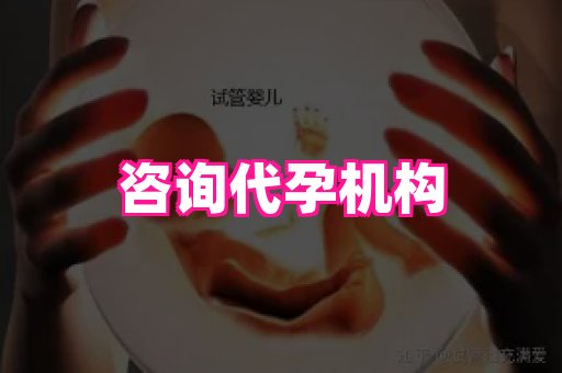 成都助孕网站 2