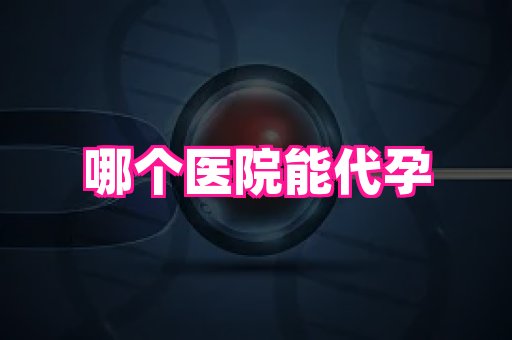 成都助孕网站 3