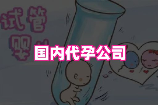 成都助孕网站 4
